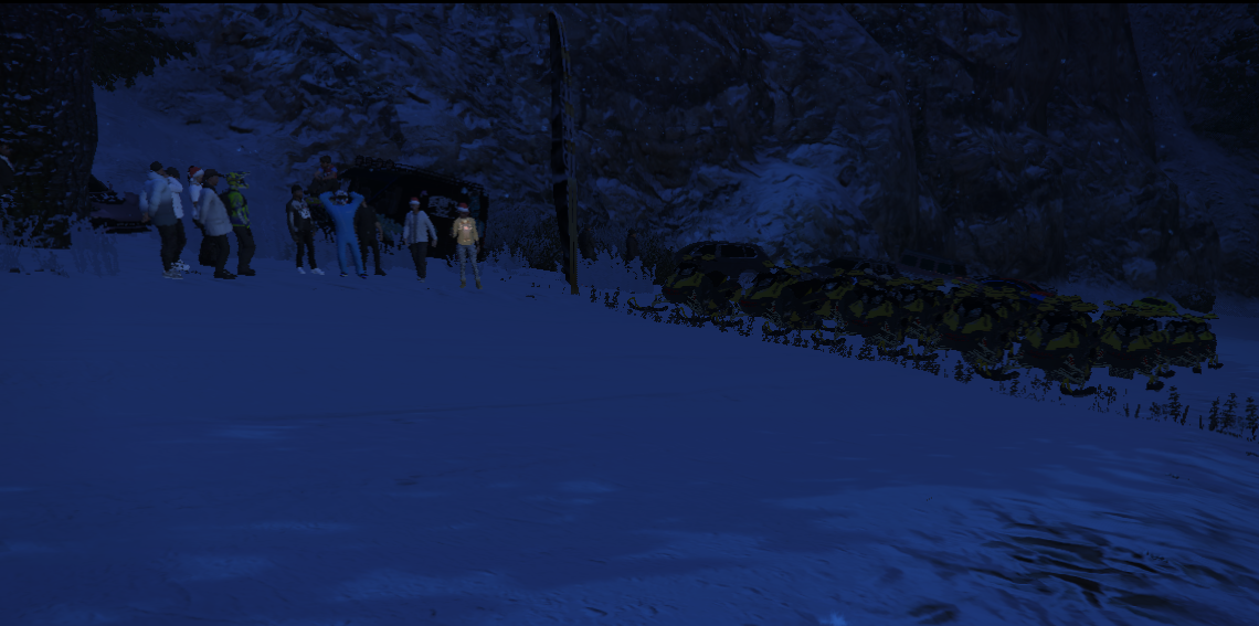 A toute vitesse sur la neige