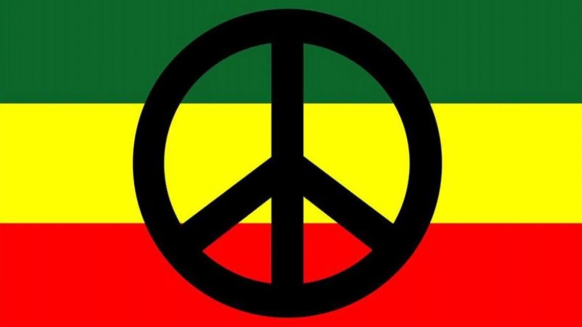 Monsieur Stephen Clayne, le rasta au grand cœur nous parle de la soirée de dons du 3 juillet prochain