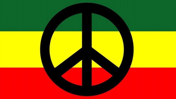 Monsieur Stephen Clayne, le rasta au grand cœur nous parle de la soirée de dons du 3 juillet prochain