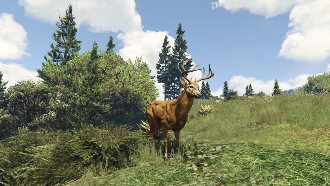 Chasse au gros gibier : une soirée sauvage dans la forêt du Mont Chilliad !